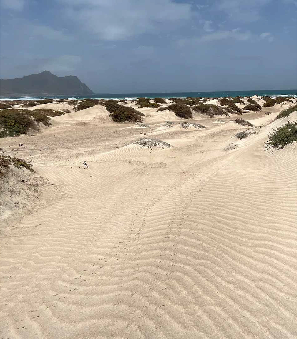 Santa Luzia
