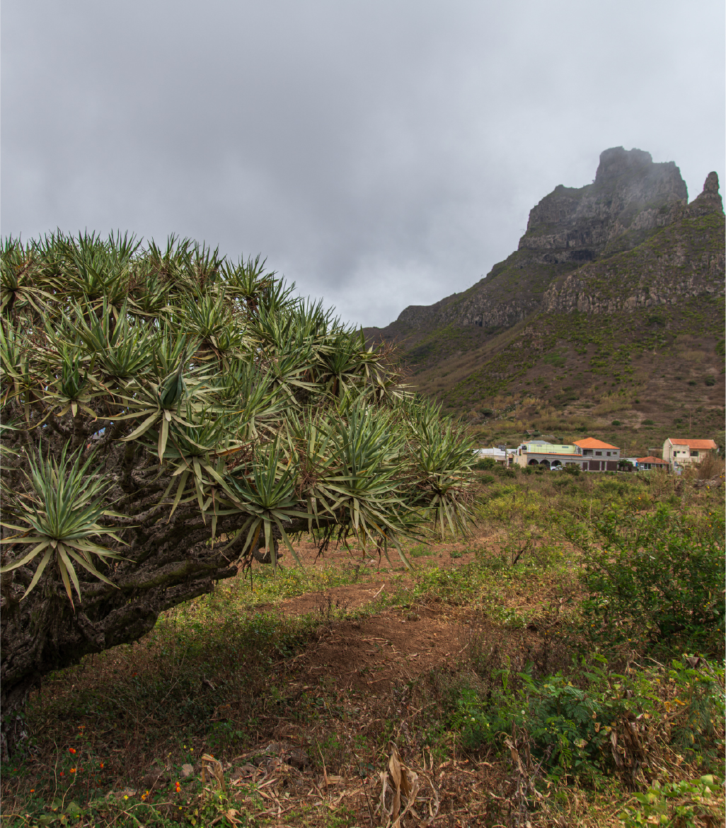 São Nicolau
